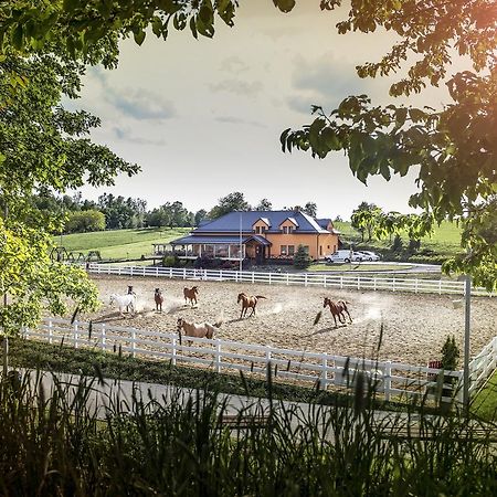 Hotel Horse Riding - Jezdecky Areal Tršice Exteriör bild