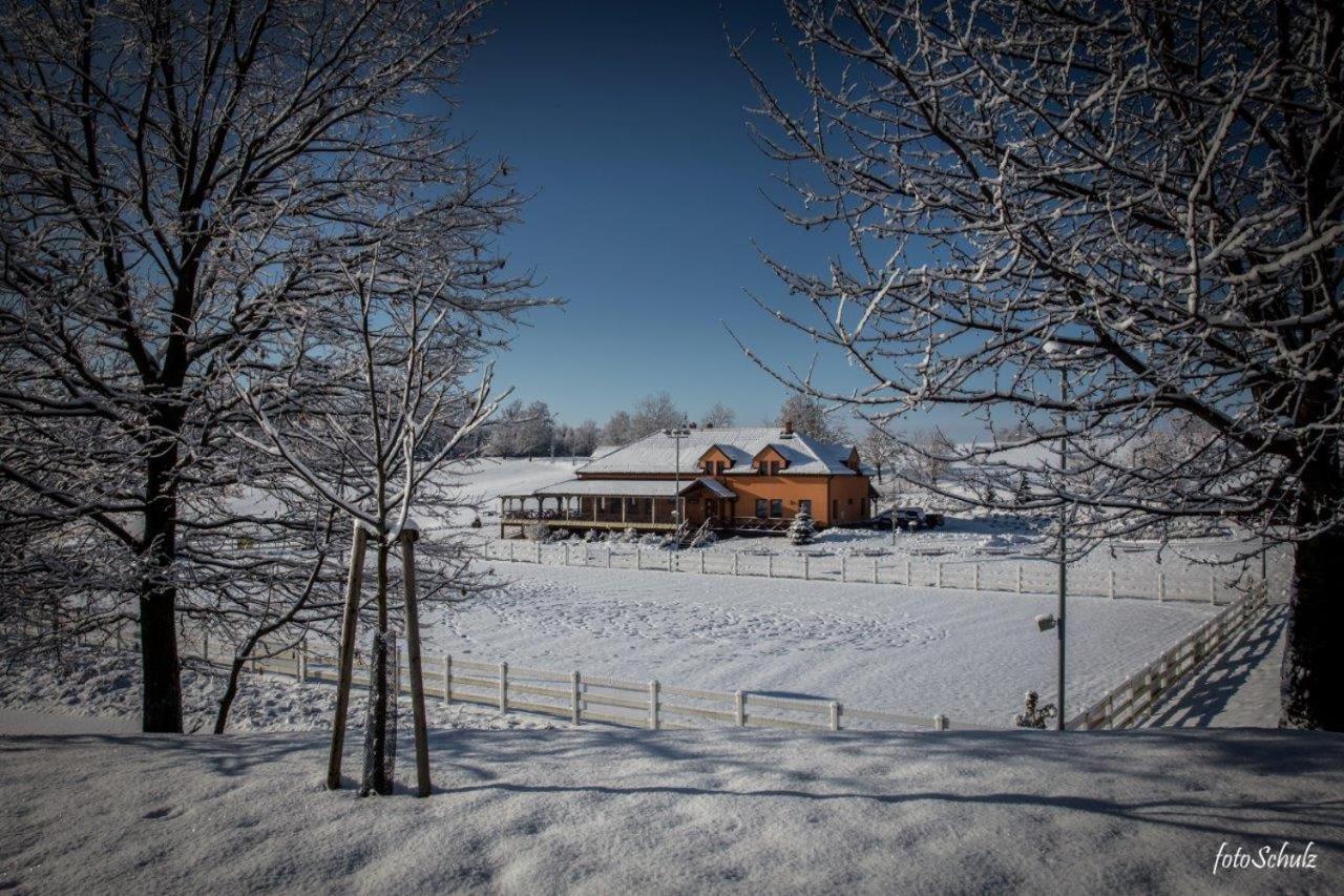 Hotel Horse Riding - Jezdecky Areal Tršice Exteriör bild