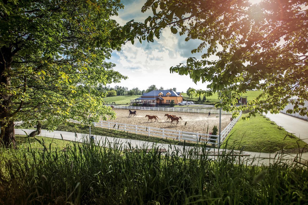 Hotel Horse Riding - Jezdecky Areal Tršice Exteriör bild