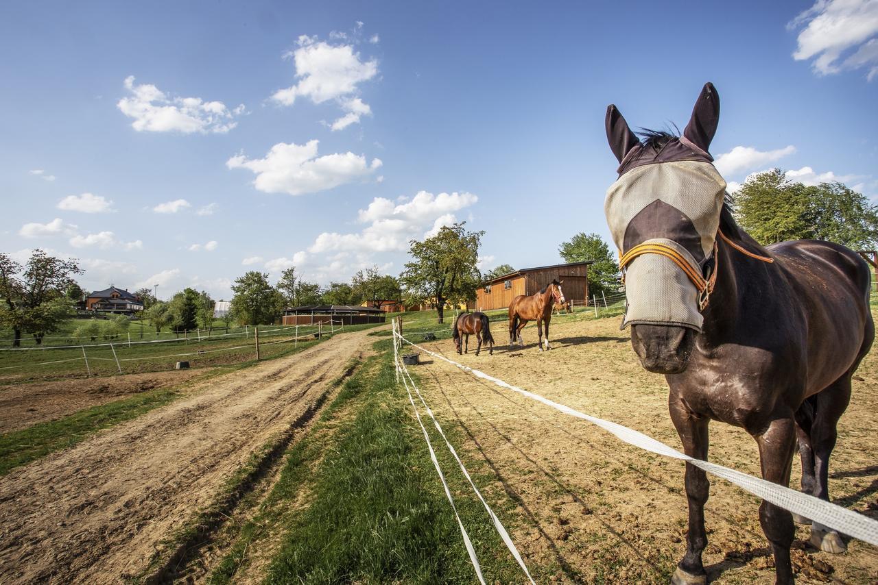 Hotel Horse Riding - Jezdecky Areal Tršice Exteriör bild