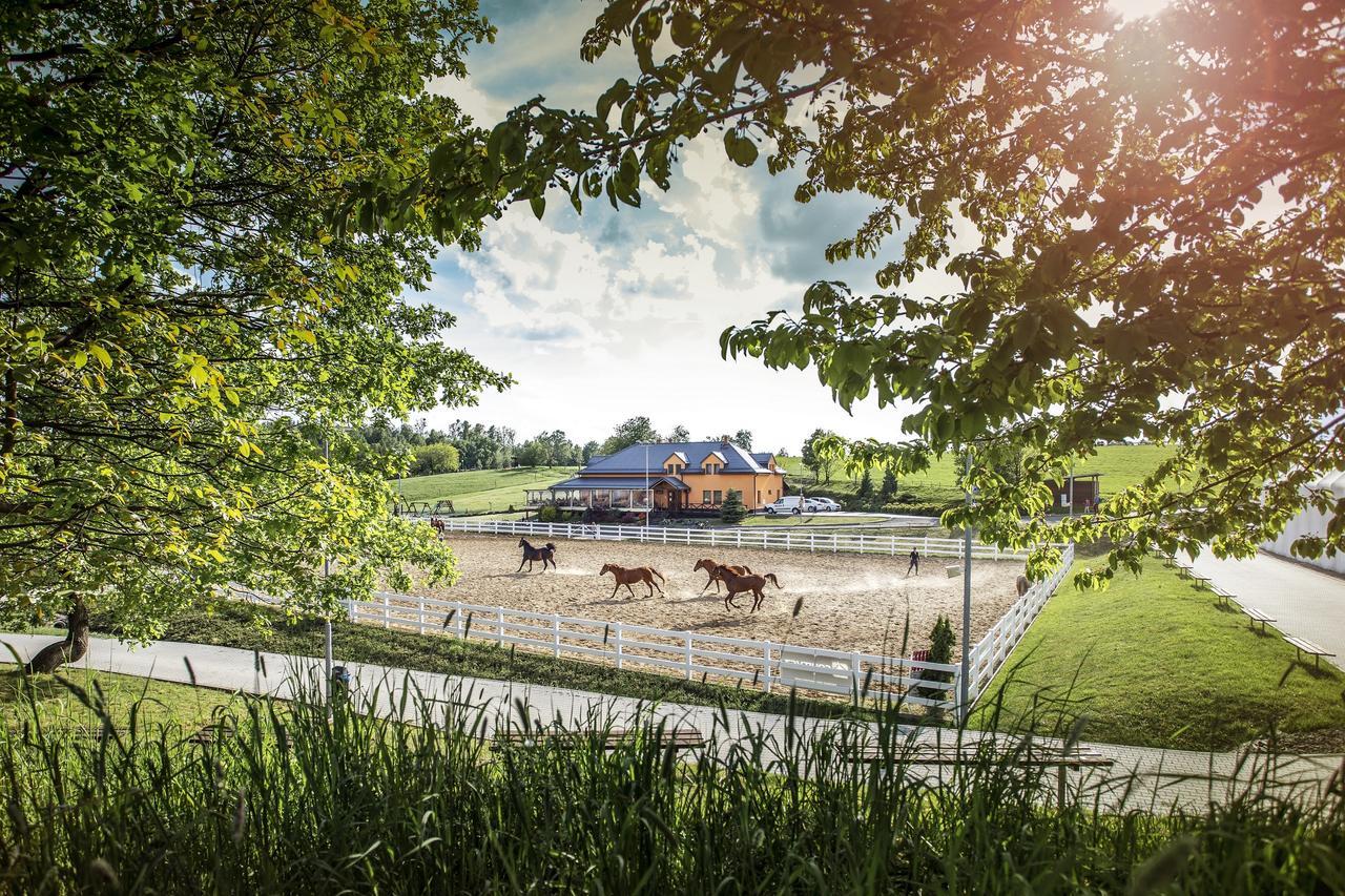 Hotel Horse Riding - Jezdecky Areal Tršice Exteriör bild